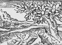 K ve strom r.1567 Studie O. Sbillota.